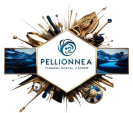 Pelionnea